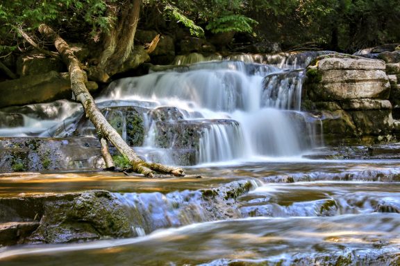 #Stream #Waterfall